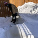 ارزیابی زیرزمین برای زمستان